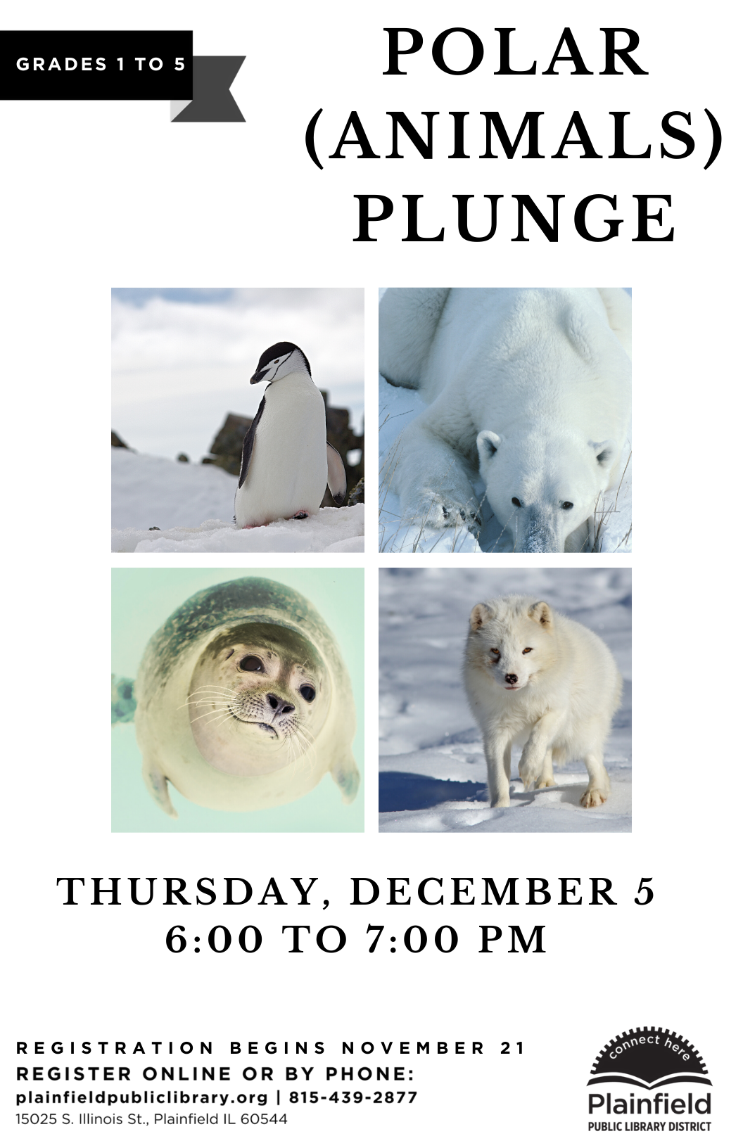 Polar Animal Plunge