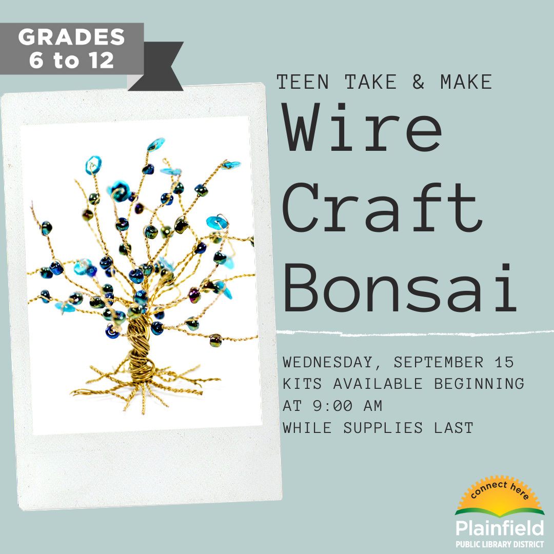 Teen Take and Make: Wire craft bonsai tree