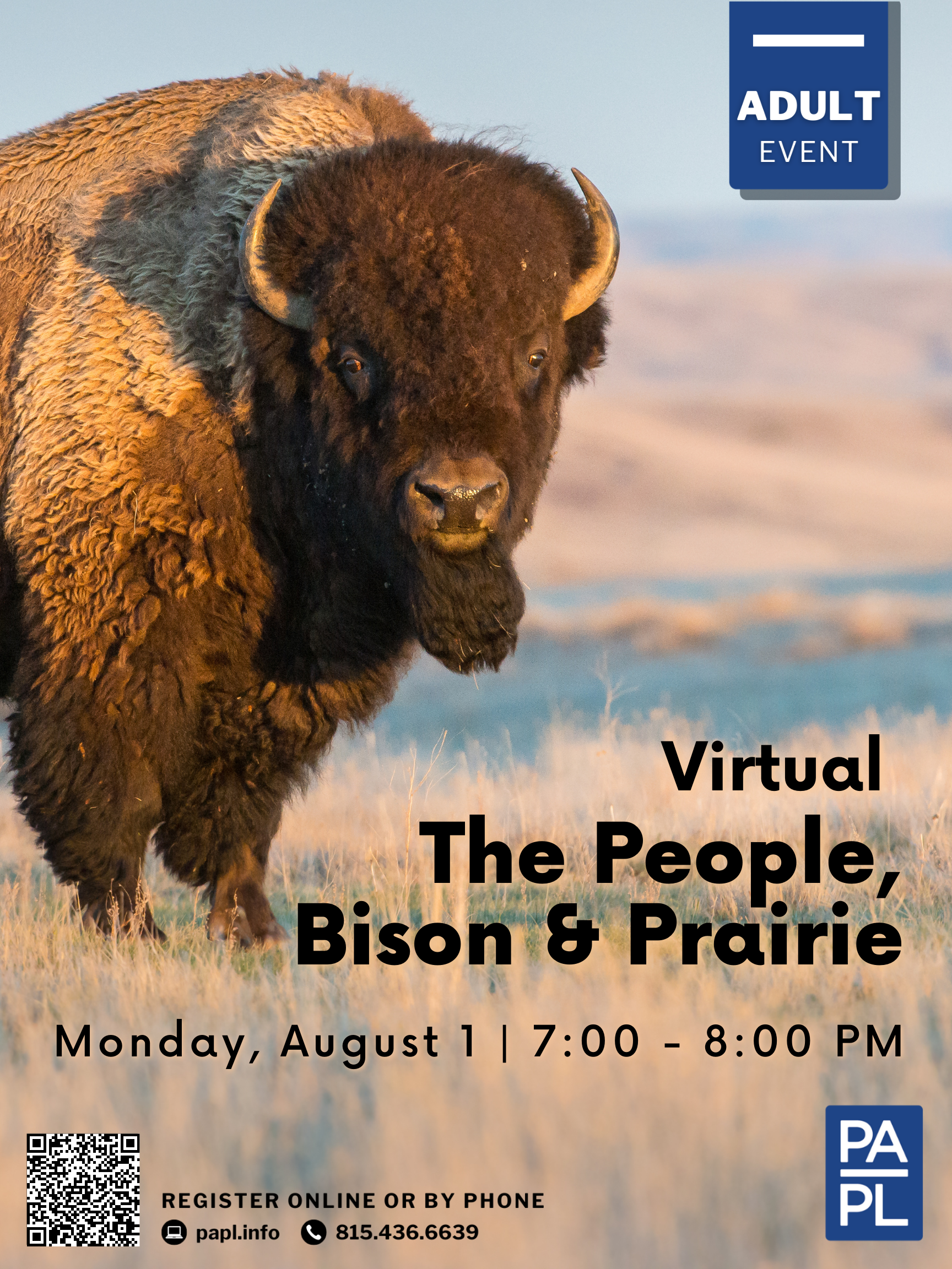 Virtual the People, Bison and Prairie