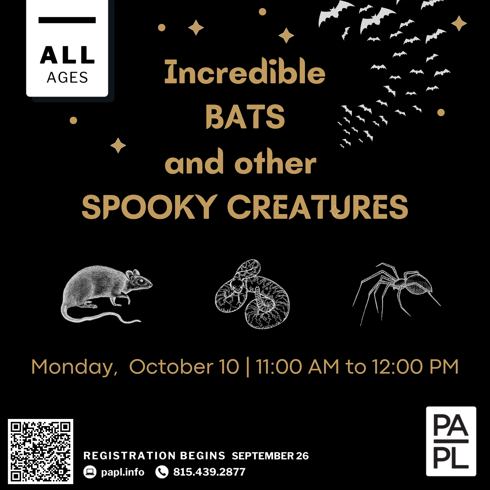 Incredible Bats & other Spooky Creatures 10.10.2022