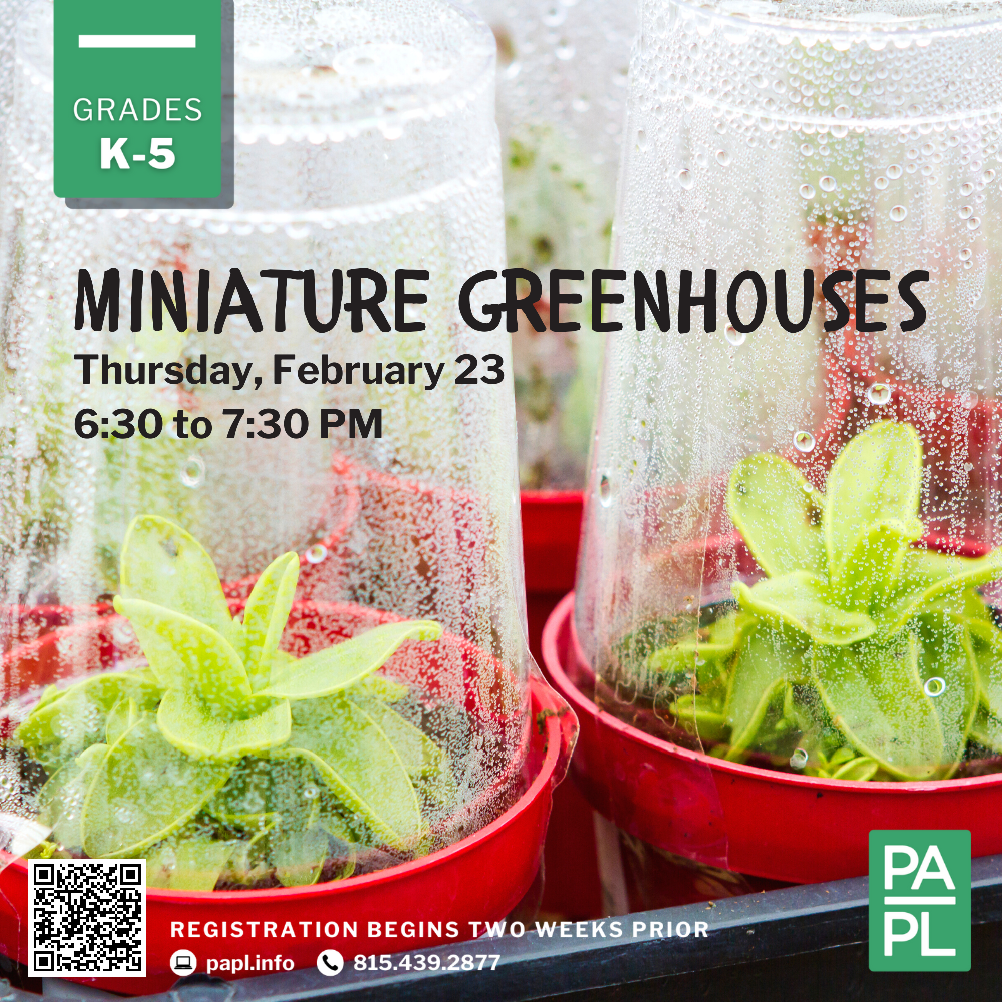 Miniature Greenhouses