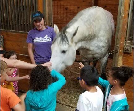 Photo of children and horse