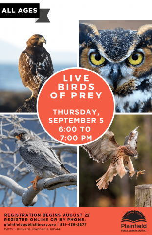 Live Birds of Prey