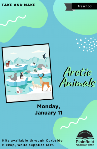 Arctic Animals