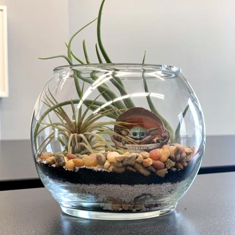 Fandom Terrarium