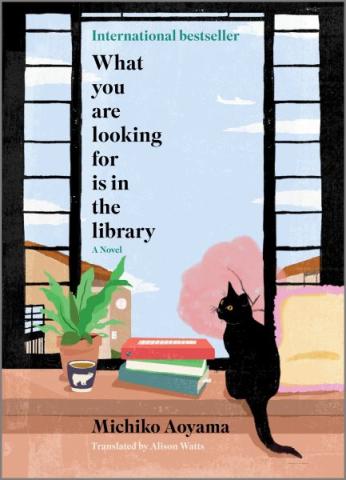 What You Are Looking For Is In the Library by Michiko Aoyoma