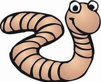 Worm