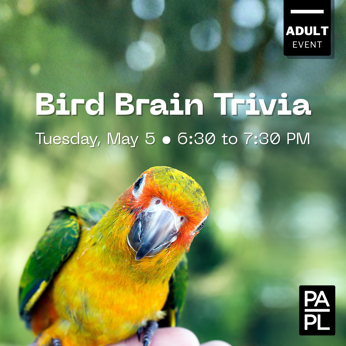 Event flyer for "Bird Brain Trivia" program. Details in page.